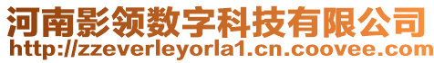 河南影領(lǐng)數(shù)字科技有限公司