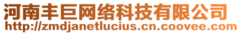 河南豐巨網(wǎng)絡(luò)科技有限公司