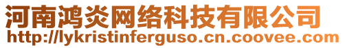 河南鴻炎網(wǎng)絡(luò)科技有限公司