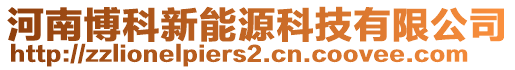 河南博科新能源科技有限公司