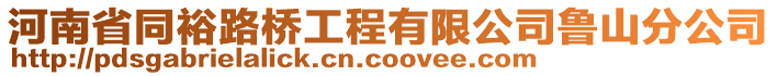 河南省同裕路桥工程有限公司鲁山分公司