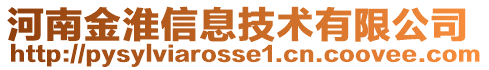 河南金淮信息技術有限公司