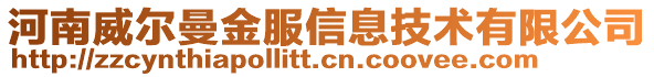 河南威爾曼金服信息技術有限公司