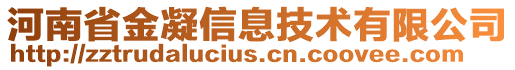 河南省金凝信息技術有限公司