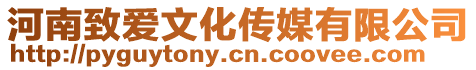 河南致愛文化傳媒有限公司