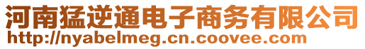 河南猛逆通電子商務(wù)有限公司