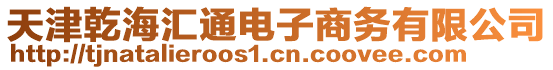 天津乾海匯通電子商務有限公司