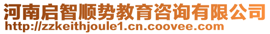 河南啟智順勢教育咨詢有限公司