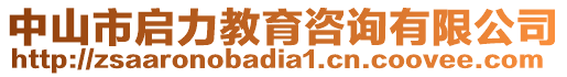 中山市啟力教育咨詢有限公司