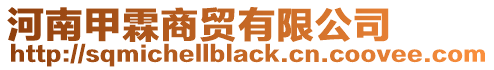 河南甲霖商貿有限公司