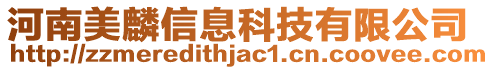河南美麟信息科技有限公司