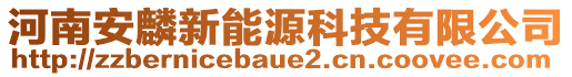 河南安麟新能源科技有限公司