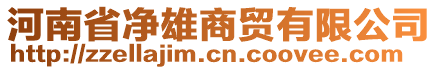 河南省凈雄商貿有限公司