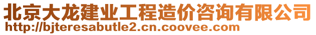 北京大龍建業工程造價咨詢有限公司