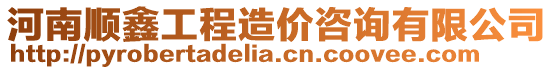 河南順鑫工程造價咨詢有限公司