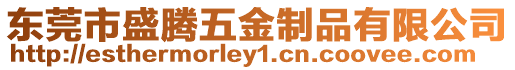 東莞市盛騰五金制品有限公司