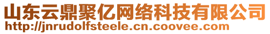 山東云鼎聚億網(wǎng)絡(luò)科技有限公司