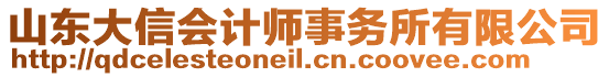 山東大信會計師事務所有限公司