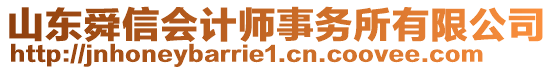 山東舜信會計(jì)師事務(wù)所有限公司