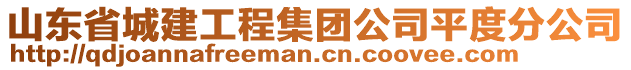 山東省城建工程集團(tuán)公司平度分公司