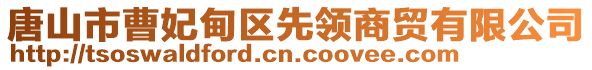 唐山市曹妃甸區(qū)先領(lǐng)商貿(mào)有限公司