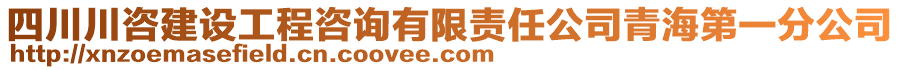 四川川咨建設(shè)工程咨詢有限責(zé)任公司青海第一分公司