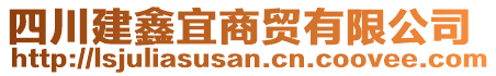 四川建鑫宜商貿(mào)有限公司