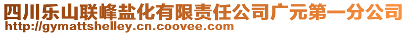 四川樂山聯(lián)峰鹽化有限責(zé)任公司廣元第一分公司