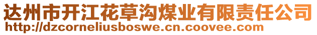 達州市開江花草溝煤業(yè)有限責任公司