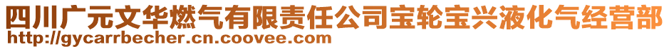 四川廣元文華燃?xì)庥邢挢?zé)任公司寶輪寶興液化氣經(jīng)營部