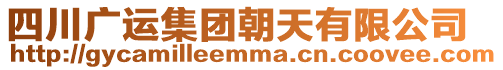 四川廣運(yùn)集團(tuán)朝天有限公司