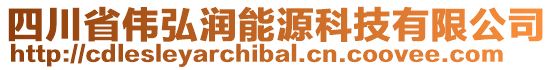 四川省偉弘潤能源科技有限公司