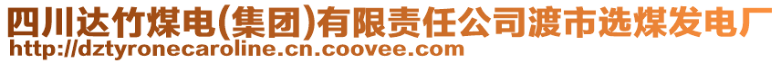 四川達竹煤電(集團)有限責任公司渡市選煤發(fā)電廠