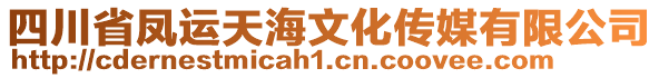 四川省凤运天海文化传媒有限公司