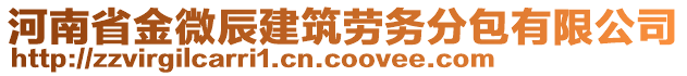 河南省金微辰建筑勞務(wù)分包有限公司