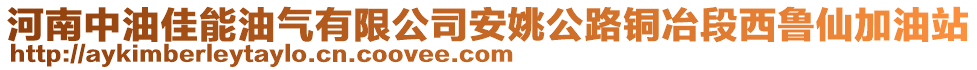 河南中油佳能油氣有限公司安姚公路銅冶段西魯仙加油站