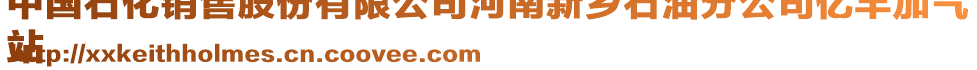 中國(guó)石化銷售股份有限公司河南新鄉(xiāng)石油分公司億豐加氣
站