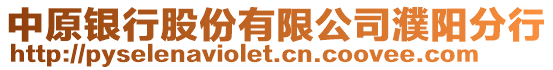 中原銀行股份有限公司濮陽分行