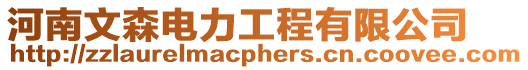 河南文森電力工程有限公司