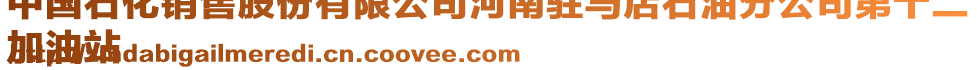 中國石化銷售股份有限公司河南駐馬店石油分公司第十二
加油站