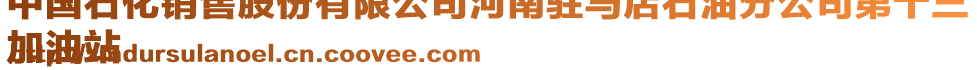 中國石化銷售股份有限公司河南駐馬店石油分公司第十三
加油站