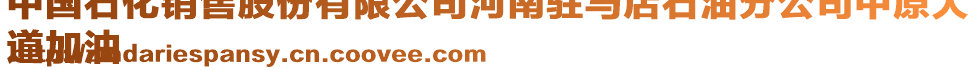 中國石化銷售股份有限公司河南駐馬店石油分公司中原大
道加油