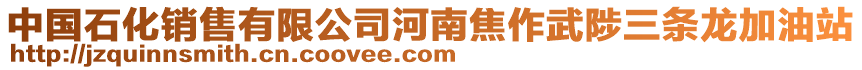 中國(guó)石化銷售有限公司河南焦作武陟三條龍加油站