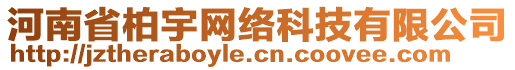 河南省柏宇網(wǎng)絡(luò)科技有限公司