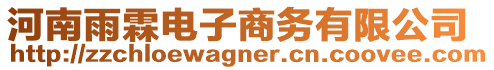 河南雨霖電子商務有限公司