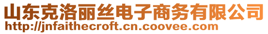 山东克洛丽丝电子商务有限公司