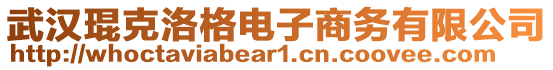 武漢琨克洛格電子商務(wù)有限公司