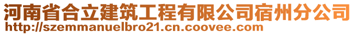 河南省合立建筑工程有限公司宿州分公司