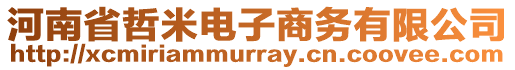 河南省哲米電子商務(wù)有限公司