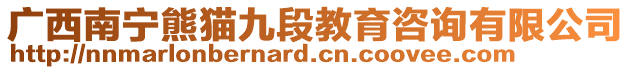 廣西南寧熊貓九段教育咨詢有限公司